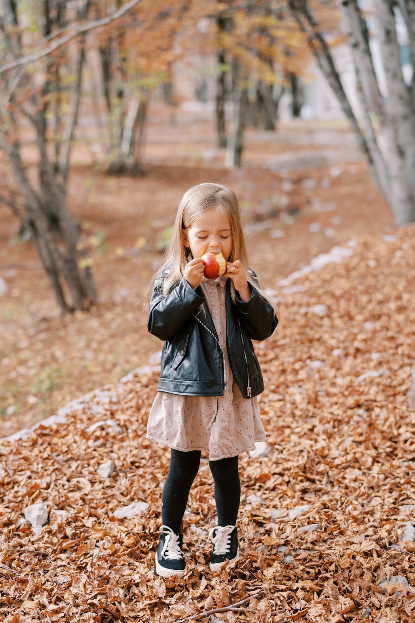 Little girl eats an apple while standing in the autumn forest